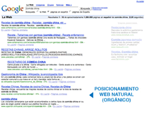 posicionamiento web